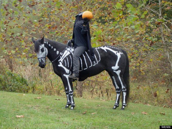 Haunting Halloween Horse Costume Ideas