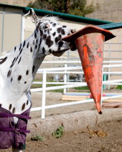 stall confinement