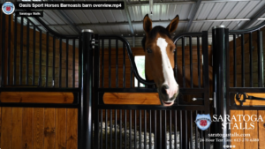 Tour of a new barn built using Saratoga Stalls.